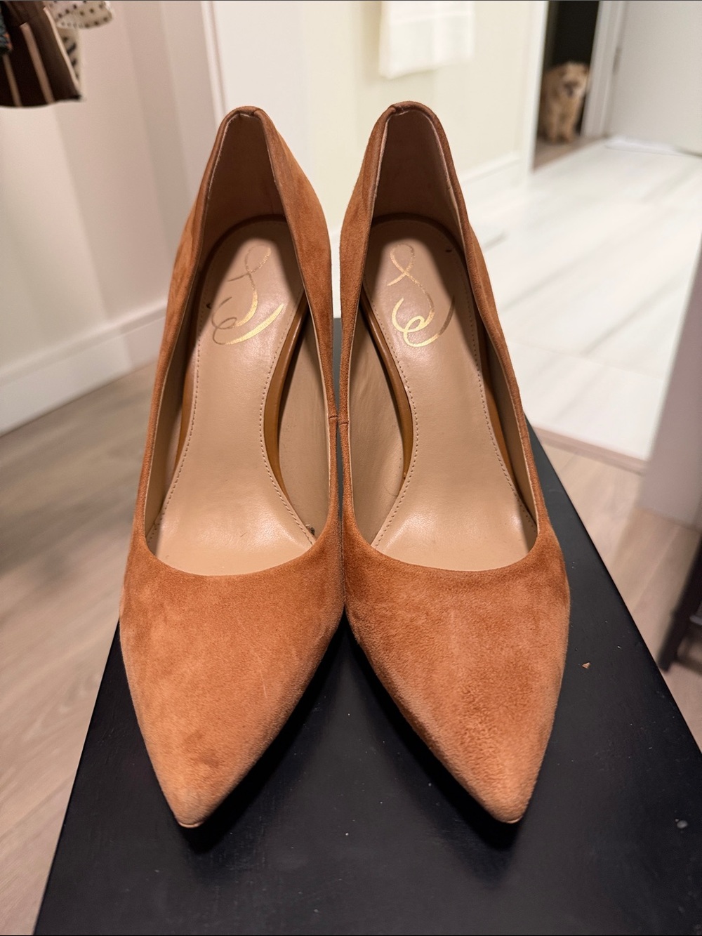 Sam Edelman Hazel Suede Pointed-Toe Pumps in Chestnut Brown